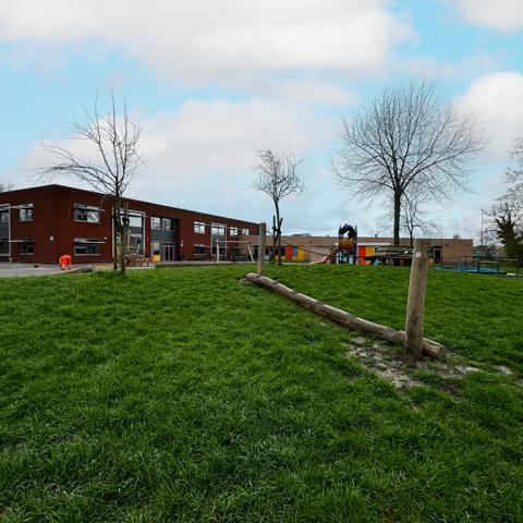 Behendigheidsparcours  robinia - Franeker