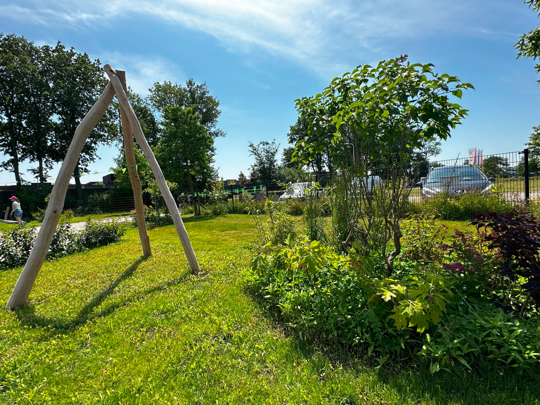 IMG 2607 2 (1)
