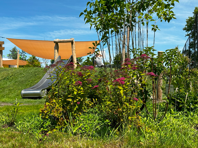 Damwoud - De Wingerd 23