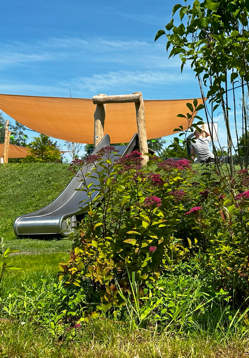 Damwoud - De Wingerd 41