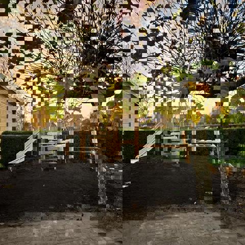 Baard De Greidefûgel 9