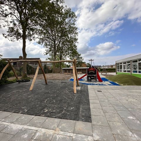Schommel dubbel, regulieren en vogelnest robinia (1)