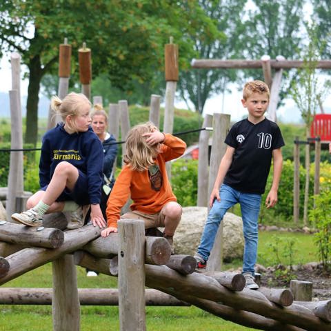 Behendigheidsparcours robinia - Stiens (2)