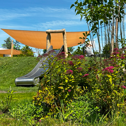 Damwoud - De Wingerd 40