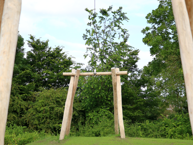 Franeker - BV Arkens kabelbaan robinia 7