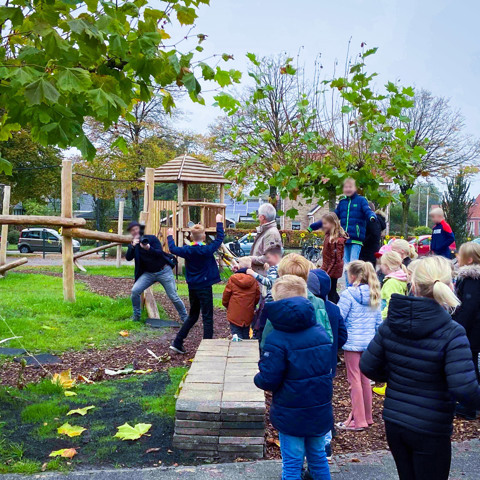Schoolplein robinia - Dronrijp (3)