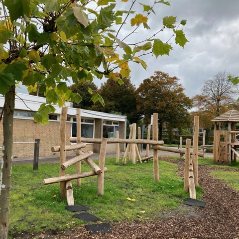 Schoolplein robinia - Dronrijp (4)
