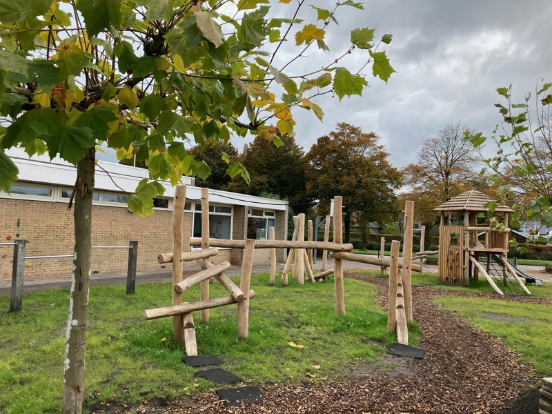 Schoolplein robinia - Dronrijp (4)