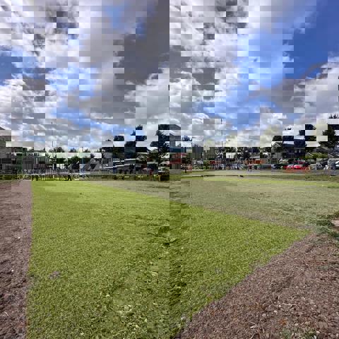 Dokkum De Trije Terpen 12