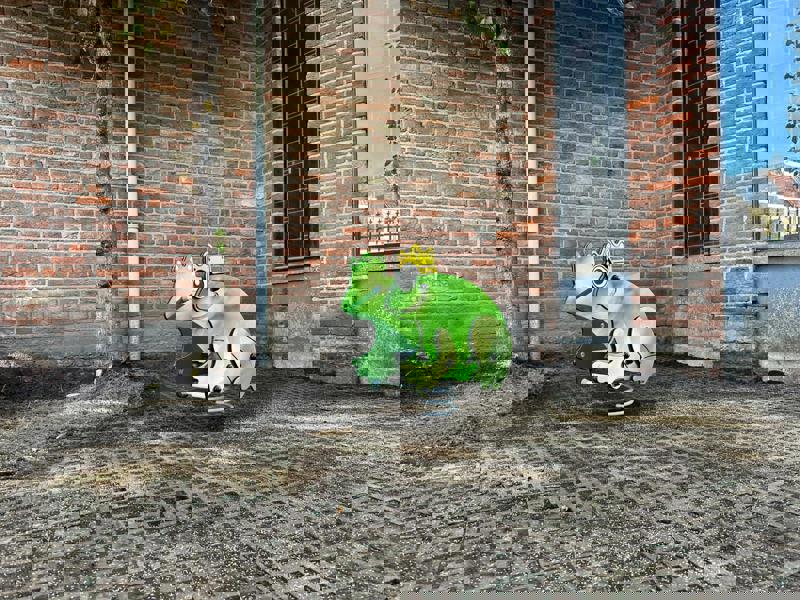 Franeker Het Kleine Prinsje 17