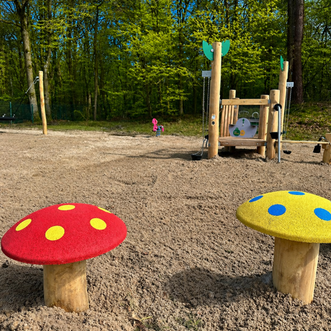 Dwingeloo Overzicht Met Paddestoelen