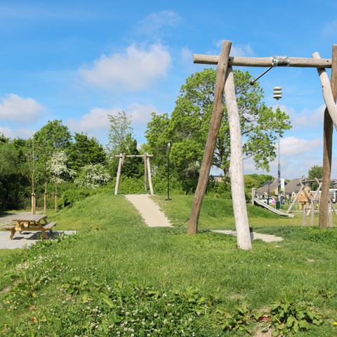 IMG 7814