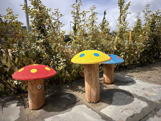 Paddenstoeltjes gekleurd robinia - Harlingen (1)