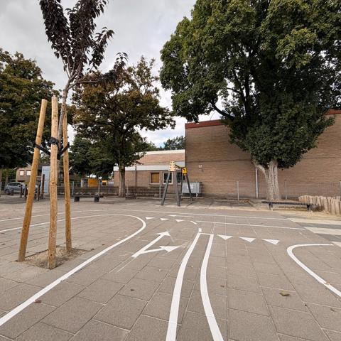 Schoonebeek 13