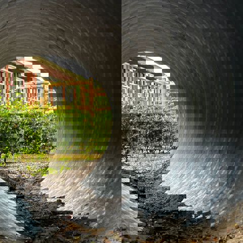 Ryptsjerk Bernemienskip Alpha1