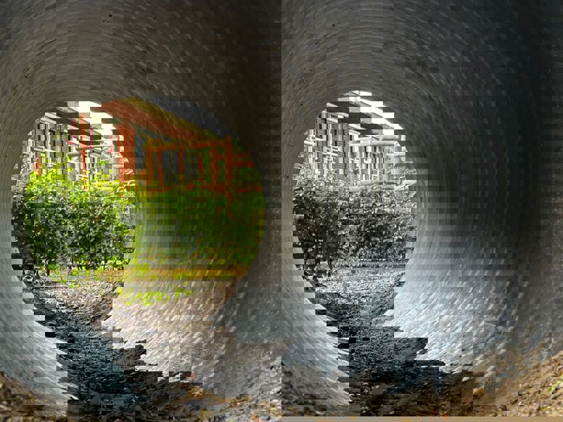 Ryptsjerk Bernemienskip Alpha1