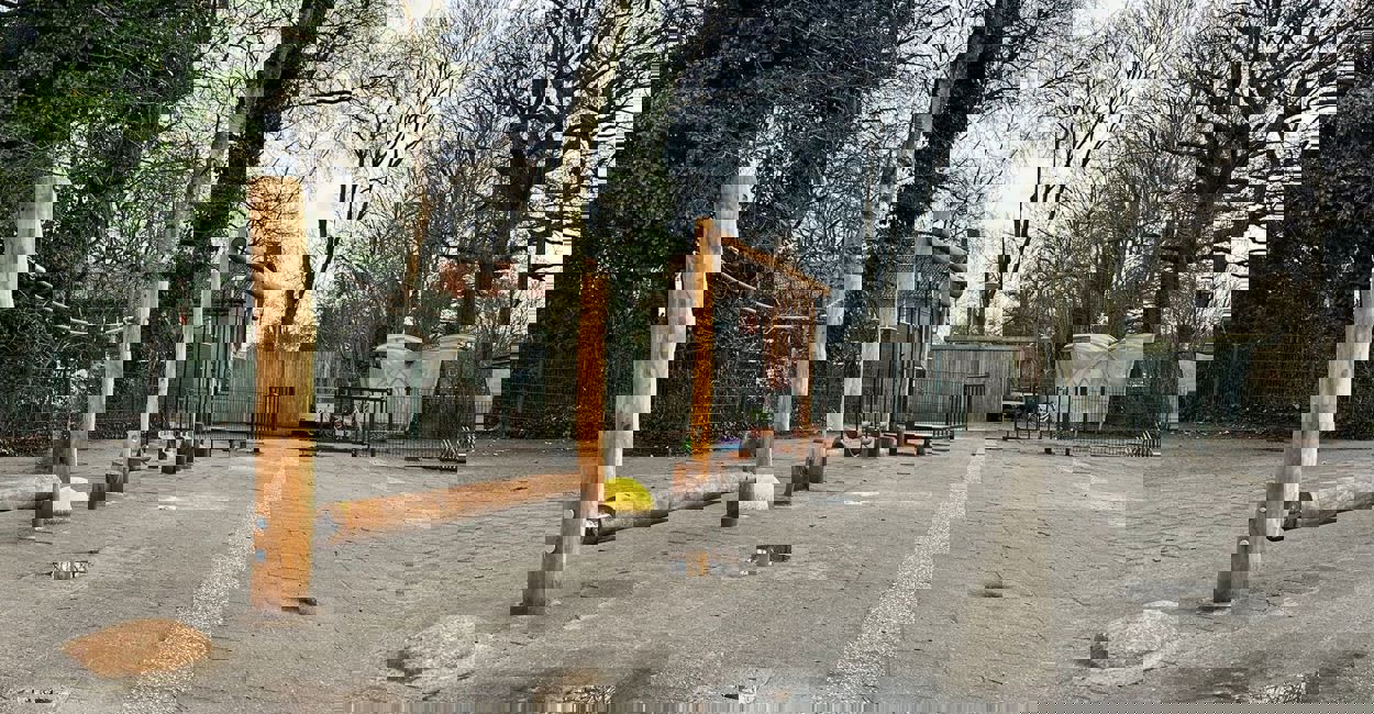 Balanceren, klimmen en spelen op het schoolplein