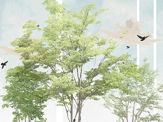 Placeholder projecten