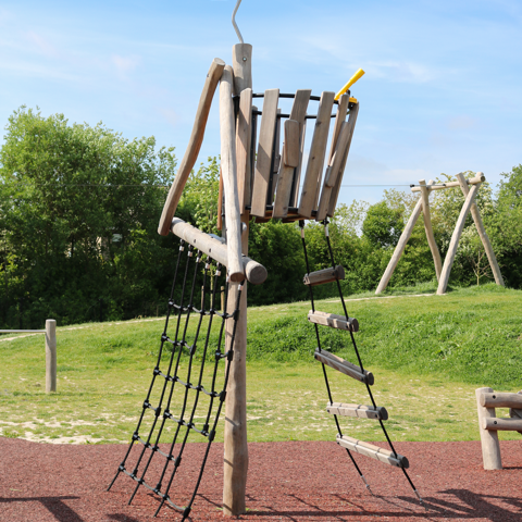 IMG 7827