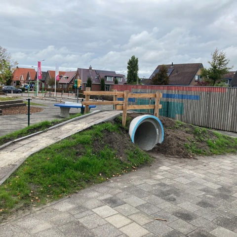 Schoolplein robinia - Dronrijp (2)