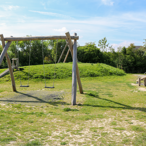 IMG 7731