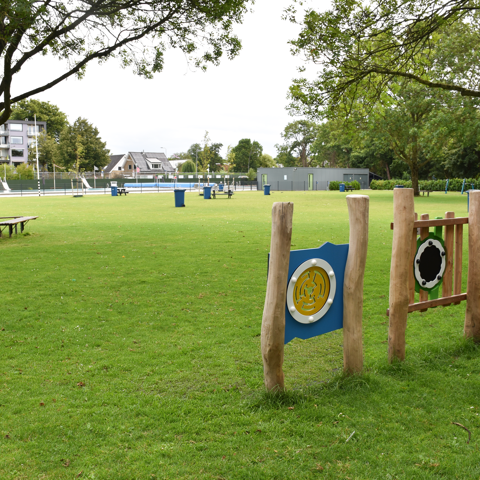 Waterman Wateringen Grasdoorgroei Tegel (4)