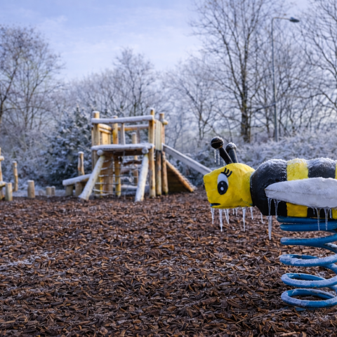 Grou Winterse Sferen2