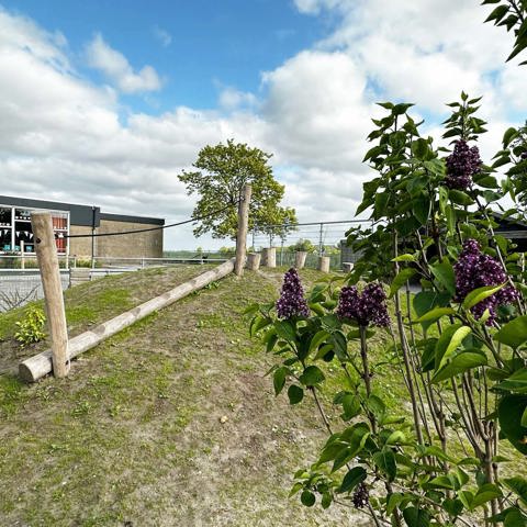 Natuurlijk Spelen Robinia Parcours Bakker Speeltoestellen (1)