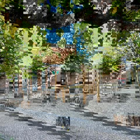 Franeker Het Kleine Prinsje 11