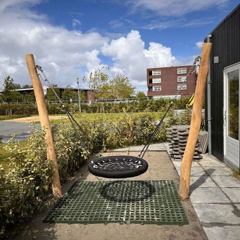 Schommel vogelnest robinia - Harlingen (2)