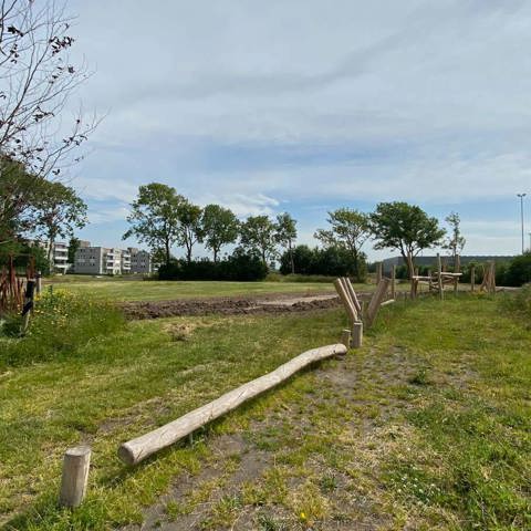 Robinia Parcours 5