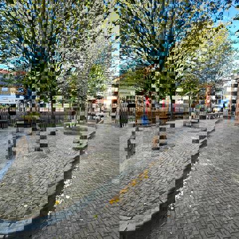 Franeker Het Kleine Prinsje 15