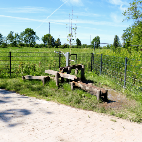 IMG 7289
