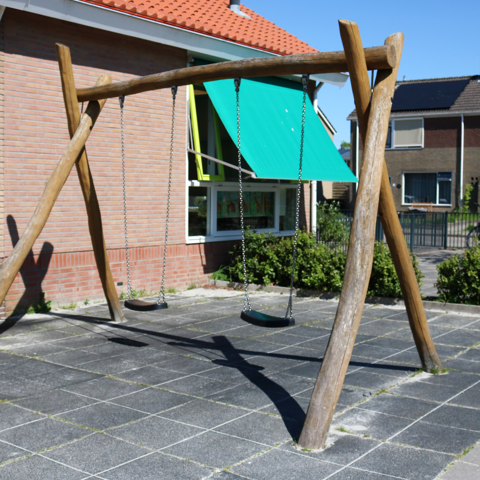 IMG 1354